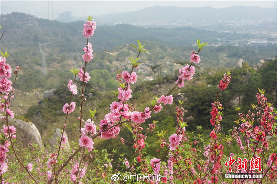 同業(yè)存單亞洲 亞洲小說亂歐美另類亞洲性感圖片站利率走下“高地”亞洲午夜無碼毛片AV久久久久久亞洲性av免費(fèi)