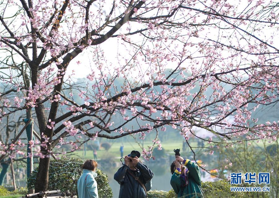 江西上高：鄉(xiāng)村文化搭上文旅快車