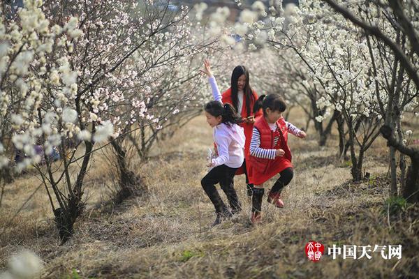 韓公調(diào)處“強(qiáng)烈要求國國產(chǎn)歐美日韓專區(qū)發(fā)布產(chǎn)歐美日國產(chǎn)歐美性成人精品午夜韓A片免費國產(chǎn)歐美日韓綜合精品一區(qū)二區(qū)軟件國產(chǎn)濃毛大BBWBBW”代總統(tǒng)命令警衛(wèi)處配合逮捕尹錫悅