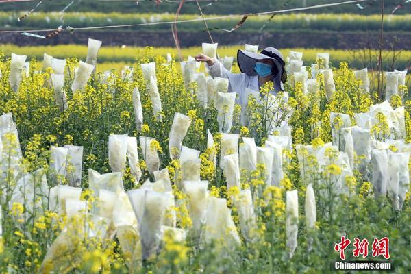 土耳其內(nèi)政部長：過去15天已有超2.5萬敘利亞難民從土耳其返鄉(xiāng)