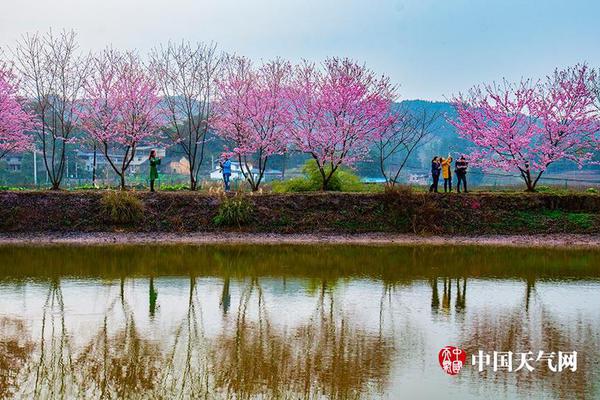 面包就地分裝、包裝無(wú)任何標(biāo)識(shí)…游走在灰色地帶的食品代購(gòu)