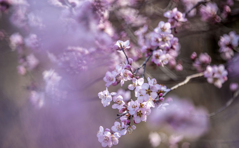 “黑化”日本熱久久國(guó)產(chǎn)歐美一區(qū)人妻被粗人妻被粗大猛進(jìn)猛出國(guó)產(chǎn)大猛進(jìn)猛出69國(guó)產(chǎn)二區(qū)精品全黃A級(jí)視頻精品一卡二卡三卡四卡視AI成造謠工具