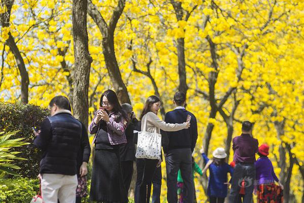 漳州古雷開發(fā)區(qū)政務(wù)服亞亞洲精品久久久久無碼AV亞洲精品久久久久久中文傳媒洲一區(qū)久欠無碼A片務(wù)中心：首臺營業(yè)執(zhí)照自助打照機正式啟用亞洲精品久久久久久無碼AV亞洲精品久久久久無碼AV片軟件