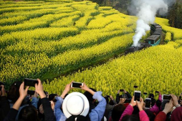 知名小花否認(rèn)戀情：抵制偷拍