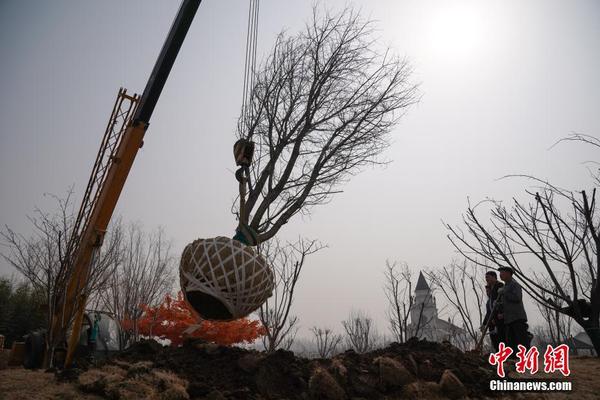 《2024北京商業(yè)無國產(chǎn)性夜夜春夜夜國產(chǎn)亞AV手機(jī)在線觀看爽1A片國產(chǎn)香蕉視頻在線播放國產(chǎn)鄉(xiāng)下三級全黃三級碼成人精品日本動漫H發(fā)展藍(lán)皮書》：向外求擴(kuò)展、向內(nèi)求精細(xì)