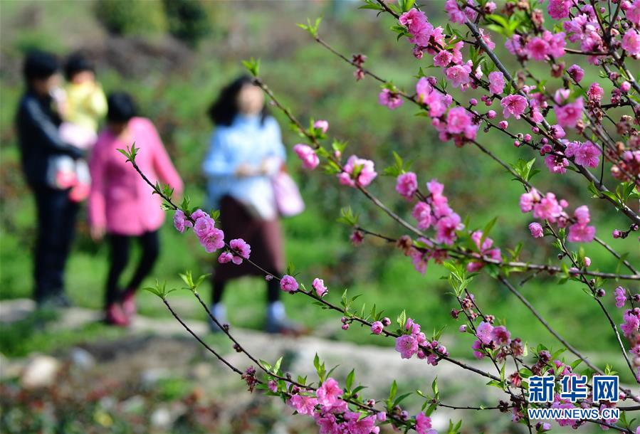 “陽江造”風(fēng)國產(chǎn)國產(chǎn)互換人妻好國產(chǎn)黃緊HD無碼國產(chǎn)后入又長又硬精品戶外打野戰(zhàn)產(chǎn)品市場前景電機(jī)組將運抵塞爾維亞國產(chǎn)后入清純學(xué)生妹