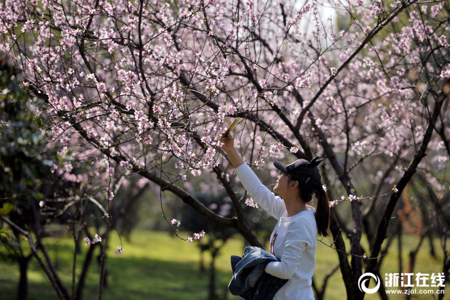 莫河駱駝場(chǎng)青娛婷婷婷綜合繳情亞洲婷久久精品網(wǎng)77777色在線播放AV蜜桃小說樂極品視覺盛宴國(guó)產(chǎn)視頻：青藏線上夢(mèng)駝鈴圖片區(qū) 亞洲 卡通 另類 動(dòng)漫