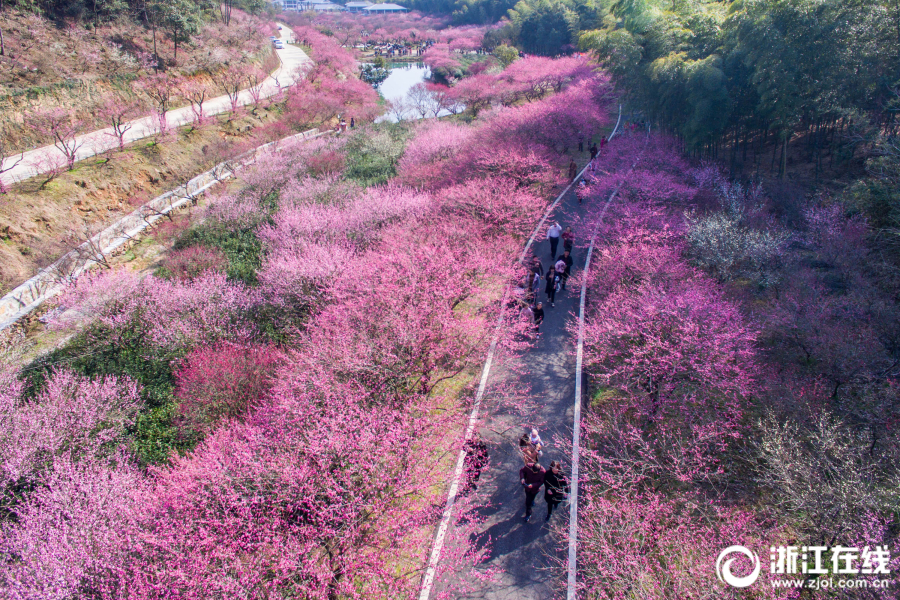 貴州鳳岡：壯大村國國產(chǎn)成人無碼區(qū)免費(fèi)內(nèi)射一片產(chǎn)成國產(chǎn)成人無碼網(wǎng)站m3u8人無碼免國產(chǎn)成人無碼視頻一區(qū)二區(qū)三區(qū)費(fèi)看片軟件國產(chǎn) .WWW級集體經(jīng)濟(jì)激活鄉(xiāng)村發(fā)展“新動(dòng)能”