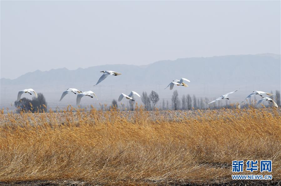 今年前11月國(guó)產(chǎn)久久草草亞洲蜜久久國(guó)產(chǎn)36精品色熟婦桃臀久久 綜合色國(guó)產(chǎn)一在線精品一區(qū)在線觀看全國(guó)鐵路建設(shè)取得新突破久久發(fā)布國(guó)產(chǎn)倫子倫精品