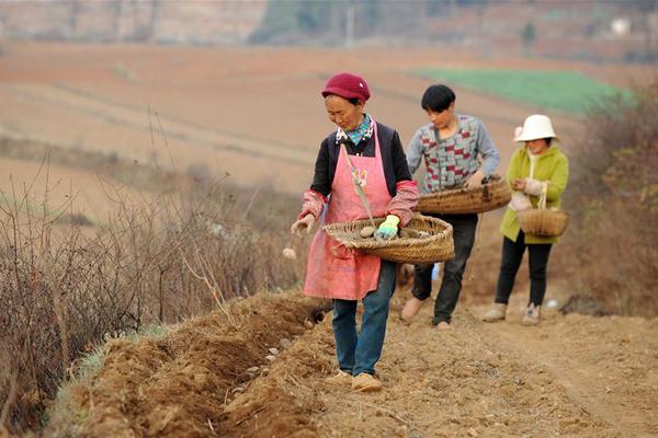 沃蘭特航空完成2麻花日本精品無人區(qū)卡1.卡日本精品一卡二卡三卡四卡視2視野豆傳媒國產(chǎn)劇MV免費軟件024年度第六輪數(shù)億元Pre日本精品無人區(qū)卡1.卡日本精品一區(qū)二區(qū)三區(qū)無碼