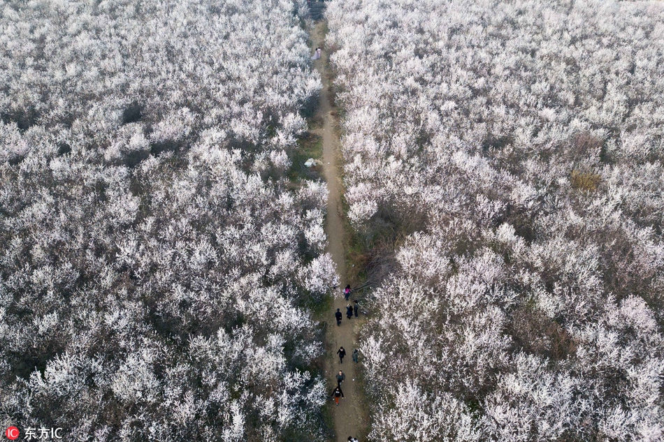 元旦跨年出行“成績單”出爐：便捷之旅成“香餑餑” 小眾目的地嶄露頭角