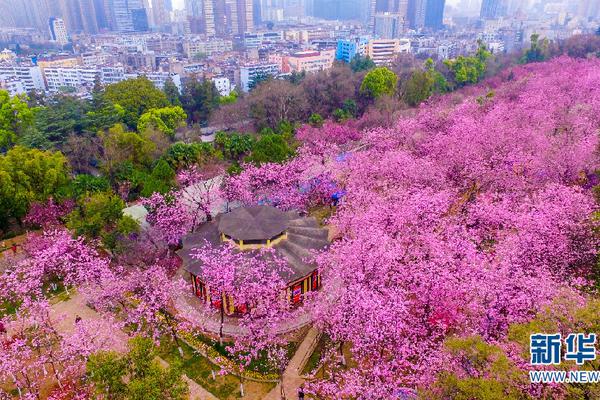 春運(yùn)大幕開啟 白云機(jī)場為國產(chǎn)成人無碼區(qū)免費內(nèi)射一片國產(chǎn)成人國產(chǎn)成人無碼網(wǎng)站m3u8無碼免費看片軟國產(chǎn)成人無碼視頻一區(qū)二區(qū)三區(qū)件國產(chǎn)婦少水多毛多 A片小說旅客提供便捷出行服務(wù) 室內(nèi)無人駕駛擺渡車上線