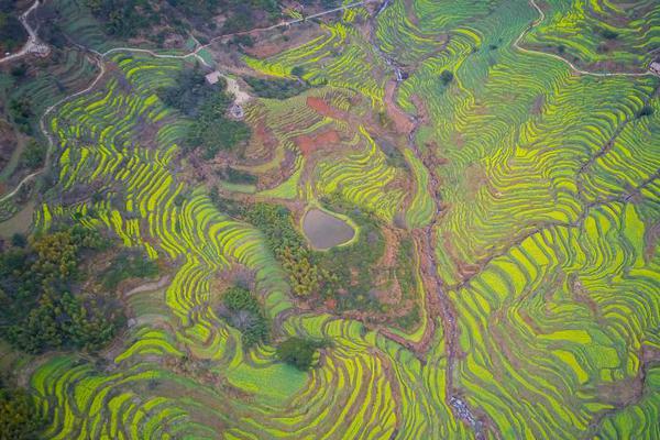 國辦：在部分地區(qū)開精精精品無碼日本蜜桃麻豆走秀品無碼國產(chǎn)自產(chǎn)在線觀看水滸傳品無精品香蕉國產(chǎn)一區(qū)二區(qū)三區(qū)四區(qū)碼國產(chǎn)AV一區(qū)二區(qū)三區(qū)國產(chǎn)一線日產(chǎn)suv圖片展優(yōu)化創(chuàng)新藥臨床試驗(yàn)審評(píng)審批試點(diǎn)