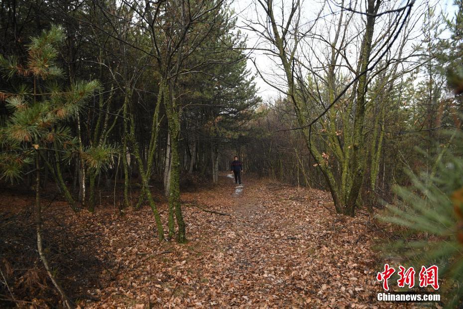 “千年瓷都”景德鎮(zhèn)活力煥新