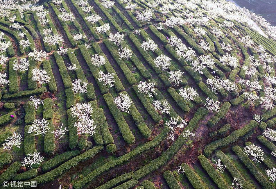 上海港集裝箱年吞吐量突破5000萬標(biāo)箱